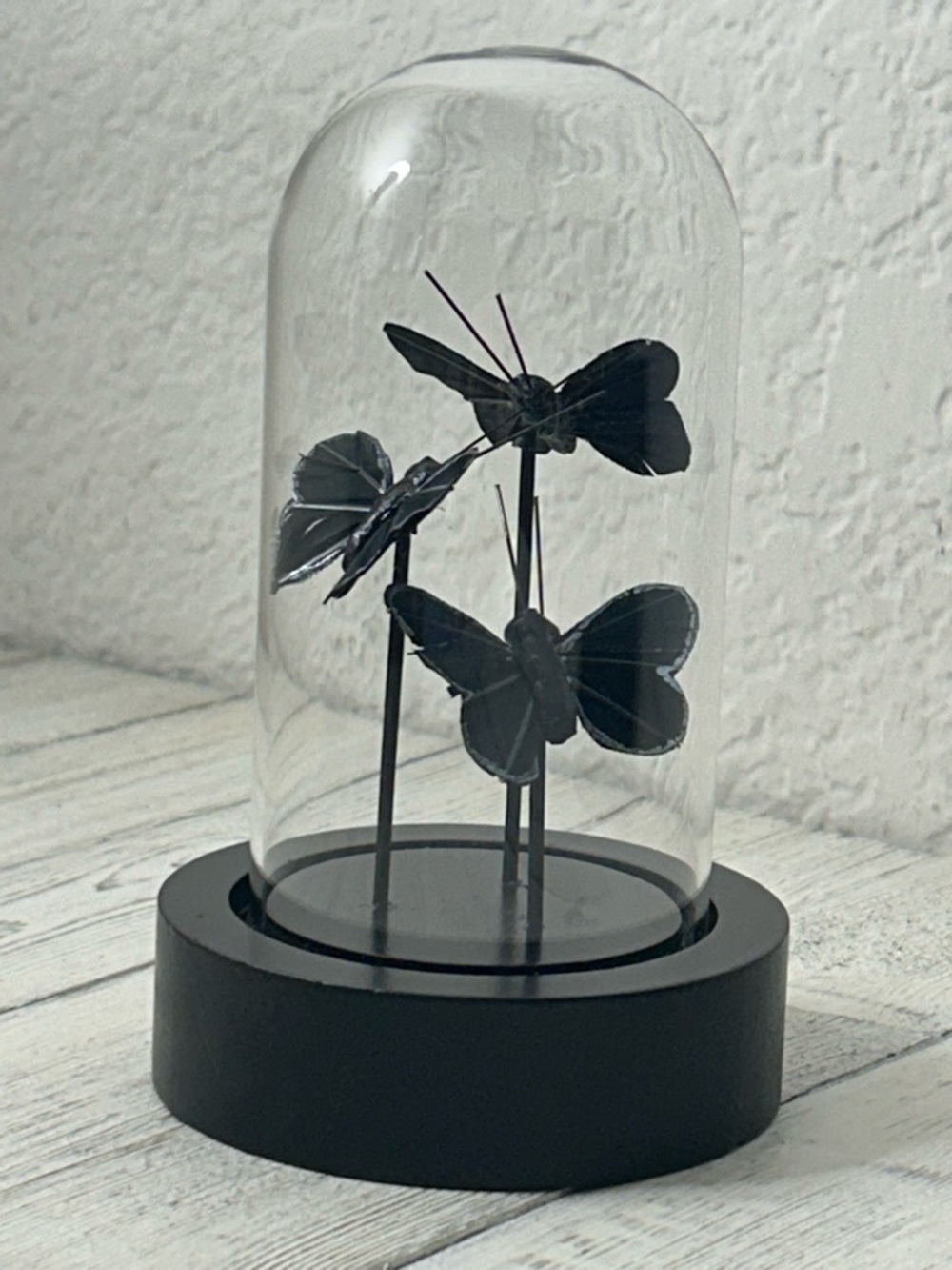 Black 3 Moth Dome Decor